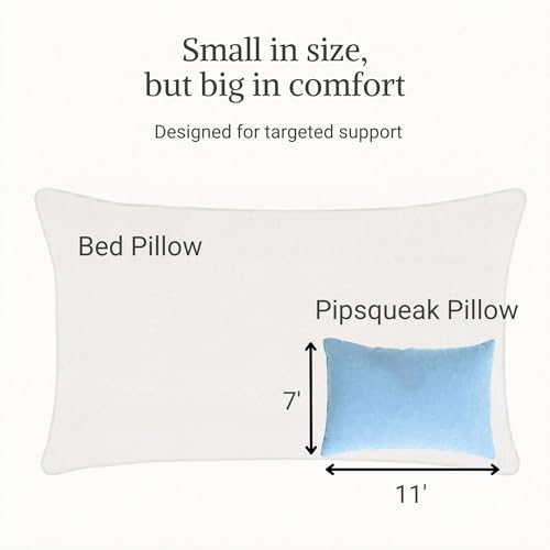 Microfiber Pipsqueak Pillow - Small, Mini - 11 x 7 in - Tiny Pillow for Travel, Cars, Airplanes, Camping, Dogs, Toddlers, Kids, Lumbar, Knees and Neck - Ages 2 Yrs and Up - color: Light Blue, size: 1 Pack, style: Non-Personalized
