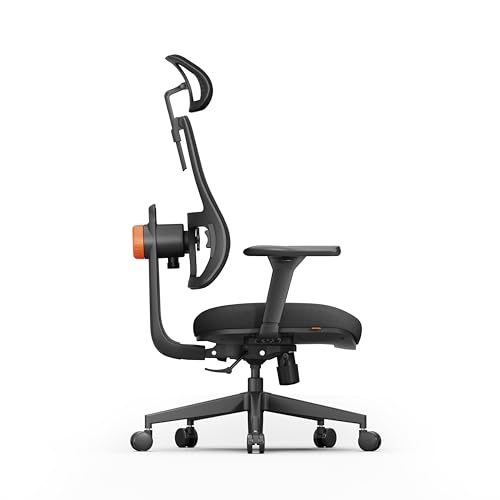 Ergonomic Home Office Chair, High Back Desk Chair with Unique Adaptive Lumbar Support, Adjustable Headrest, Seat Depth Adjustment, 96°-126° Tilt Function, Adjustable Armrest Recliner - color: Black