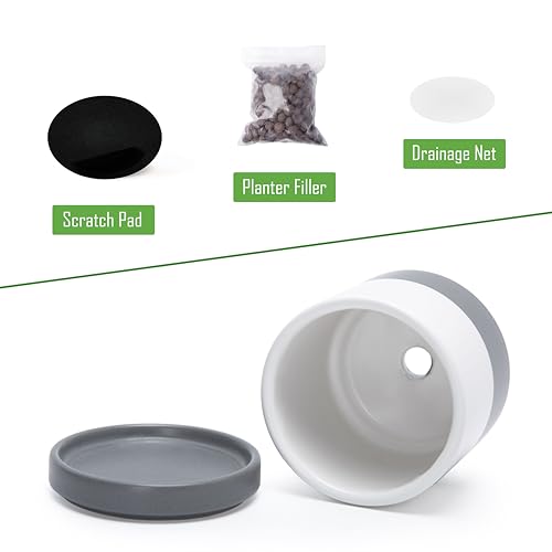 D'vine Dev Set of 2 Plants Pots, 3.5 Inch Ceramic Planter Pot for Plants with Drainage Hole and Saucer, White/Speckled Grey, 94-V-A-6 - color: White/Speckled Grey, size: 3.5 Inch