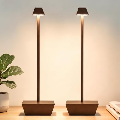 Modern Cordless Table Lamp Rechargeable, 6000mAh Battery Operated, Touch Control 3 Color Stepless Dimming, Waterproof LED Wireless Desk Lamp for Restaurant, Bedroom, Kitchen, Outdoor Camping, Bathroom - color: T1005-Brown, size: 2pack