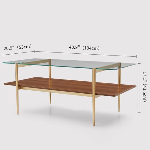 LumFurn Rectangle Coffee Table, Mid-Century Modern Design, L41 W21 x H17, for Living Room, 2-Tier Structure, Clear Glass Top and Walnut MDF Shelf, Sleek Conical Metal Legs with Gold Finish - color: L41" Clear & Walnut