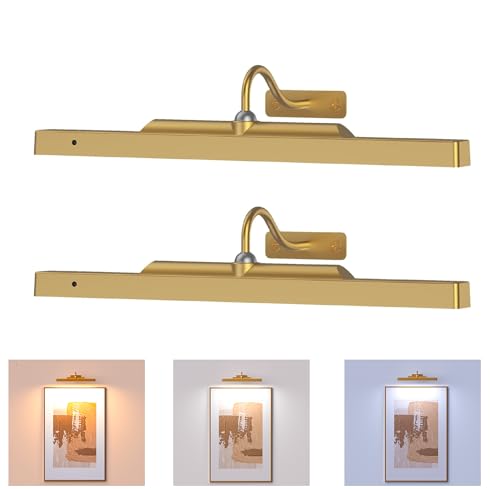 Picture Light Wireless, 5000mAh Battery Powered Art Light for Pictures, 350LM, Dimmable, Remote Control, 16in Wall Gallery Light for Display, Wall, Artwork,Photos - color: Antique Gold, size: 16 Inch