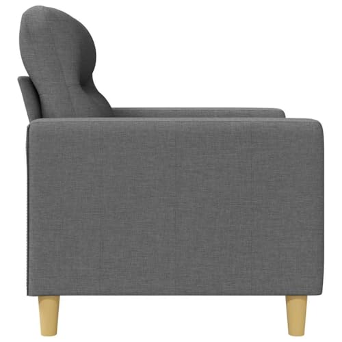 2-Seater Sofa, Modern LoveseatCouch for Small Spaces, Compact Dark Grey Polyester Fabric Settee with Pillows for Living Room, Apartment and Office, 54.3 Inch Wide - size: 2-Seater