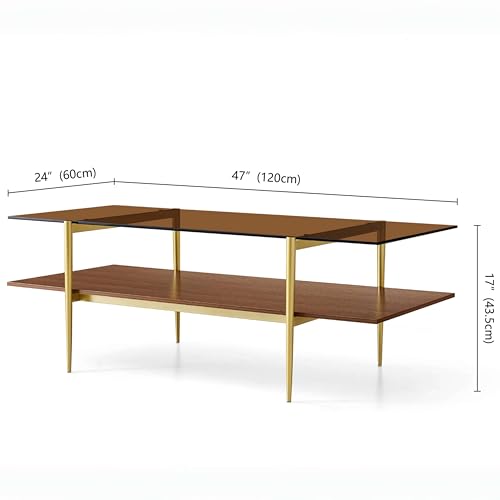 LumFurn X-Large L47in Rectangle Glass Coffee Table, Mid-Century Modern Design for Living Room, L47xW24xH17inch, Amber Glass and Walnut MDF Wood Shelf, Conical Legs with Gold Finish - color: L47" Amber & Walnut