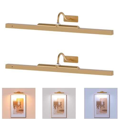 Art Light for Wall Picture, 6000mAh Rechargeable Wireless Wall Sconce,Battery Operated Remote Dimmable Lighting for Hallway Sconce(24 in, Antique Gold) - color: Antique Gold, size: 24 Inch