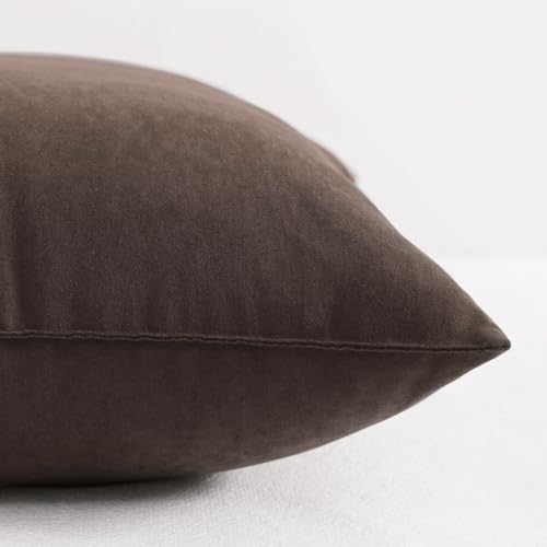 NTBAY Toddler Pillows, Set of 2, 13"x18", Dark Brown | Soft Microfiber Toddler Pillows with Down-Alternative Fill, 2 Pack 13 x 18 Inch Pillows for Beds, Daycare, and Travel - color: Dark Brown, size: 13"x18"