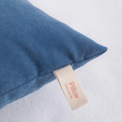 NTBAY Toddler Pillows, Set of 2, 13"x18", Denim Blue | Soft Microfiber Toddler Pillows with Down-Alternative Fill, 2 Pack 13 x 18 Inch Pillows for Beds, Daycare, and Travel - color: Denim Blue, size: 13"x18"