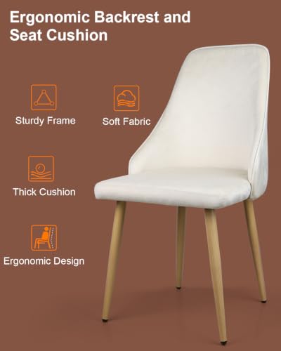 Set of 2 Mid-Century Dining Chairs High Back Beige Velvet Upholstered Modern Farmhouse Kitchen Chairs with Sturdy Metal Legs, Ergonomic Armless Accent Chairs for Dining Room/Living Room/Apartment - color: White