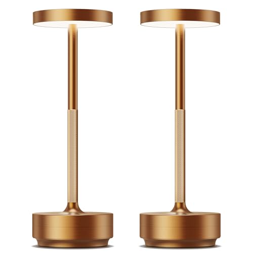 LED Cordless Table Lamp Rechargeable,Battery Powered Outdoor Table Light | 3 Color Stepless Dimming,5000mAh 72Hrs Long Lasting Battery Operated,Portable Waterproof Touch for Patio Restaurant Dining - color: 2 Pack Titanium