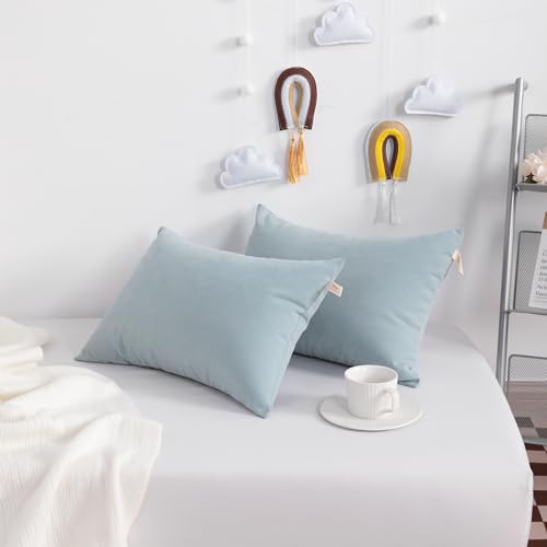 NTBAY Tiny Pillows, Down Alternative 7"x11" Microfiber Mini Pillow for Travel, Pets, Soft Machine Washable Small Pillows for Neck, Wrist, Lumbar and Knee, Sea Green - color: Sea Green, size: 11"x7"