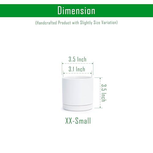 D'vine Dev 2-Pack Ceramic Pots with Saucers, White, 3.5 in, 94-V-A-1 | Modern Cylinder Design, Glazed Ceramic, Drainage Hole & Saucer Included, High Temperature Fired, Elegant Home Accent - color: White, size: 3.5 Inch