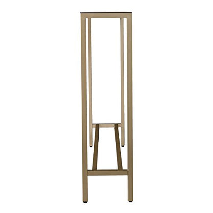 SEI Furniture Darrin Narrow Mirrored Top Console Table, 56", Metallic Gold - size: 56"