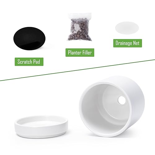 D'vine Dev 2-Pack Ceramic Pots with Saucers, White, 3.5 in, 94-V-A-1 | Modern Cylinder Design, Glazed Ceramic, Drainage Hole & Saucer Included, High Temperature Fired, Elegant Home Accent - color: White, size: 3.5 Inch