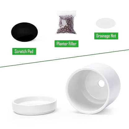 D'vine Dev 2-Pack Ceramic Pots with Saucers, White, 3.5 in, 94-V-A-1 | Modern Cylinder Design, Glazed Ceramic, Drainage Hole & Saucer Included, High Temperature Fired, Elegant Home Accent - color: White, size: 3.5 Inch