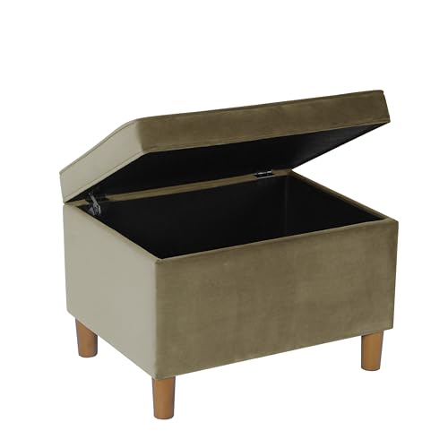 HomePop 24" Dinah Collection Storage Ottoman - Light Sage Green Velvet - color: Light Sage Green Velvet