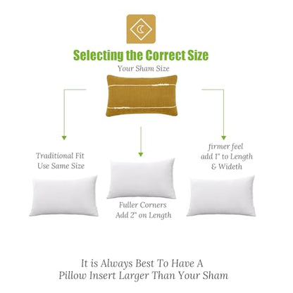 TOPGREEN Ogranic Feather Down Lumbar Pillow Insert 14x24, Pack of 2, White | 100% Organic and Double-Layer Down-Proof Cotton Cover, Ethical-Sourced Feather Down Filling, Soft Yet Supportive - size: 14x24 Inch