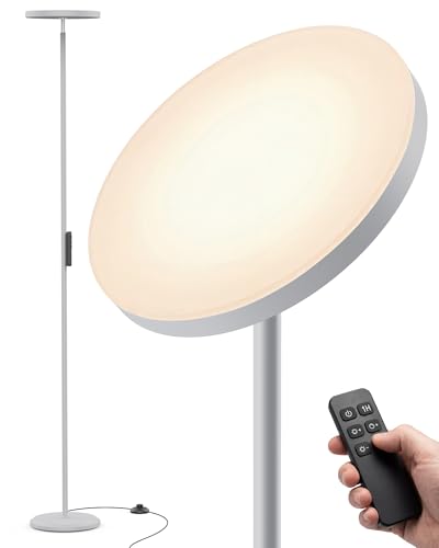 Floor Lamp for Bedroom,69" Tall Standing Lamp Remote & Foot Switch with 1H Timer, 2700-6500K Stepless Dimmable Modern Pole Light for Bedroom, Office, Reading, Sliver - color: Silver