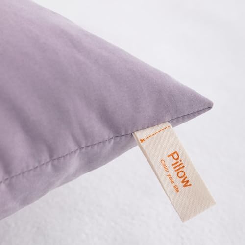 NTBAY Toddler Pillows, Set of 2, 13"x18", Lavender | Soft Microfiber Toddler Pillows with Down-Alternative Fill, 2 Pack 13 x 18 Inch Pillows for Beds, Daycare, and Travel - color: Lavender, size: 13"x18"