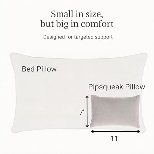 Pipsqueak Small Pillow - Mini 11 x 7 inches - Tiny Pillow for Travel, Dogs, Toddlers, Kids, Lumbar, Knees and Neck - Gray - color: Gray, size: 1 Pack, style: Non-Personalized