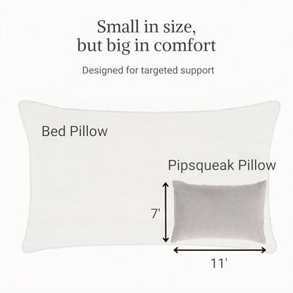 Pipsqueak Microfiber Pillow - Small, Mini, Tiny - 11 x 7 in - Perfect for Travel, Cars, Airplanes, Camping, Dogs, Toddlers, Kids, Lumbar, Knees and Neck - Ages 2 Yrs and Up - color: Gray, size: 2 Pack, style: Non-Personalized