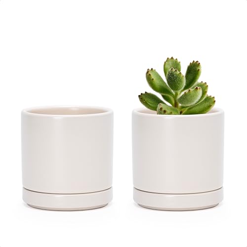 D'vine Dev 2-Pack Ceramic Pots with Saucers, Oatmeal, 3.5 in, 94-V-A-8 | Modern Cylinder Design, Glazed Ceramic, Drainage Hole & Saucer Included, High Temperature Fired, Elegant Home Accent - color: Oatmeal, size: 3.5 Inch