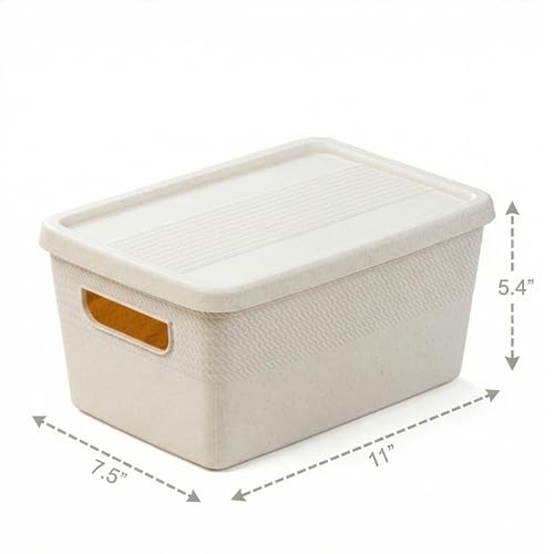 BINO | Plastic Storage Bins with Lids, 5 Liter - 3 Pack, Natural | THE BRAIDED COLLECTION | Plastic Bins for Organization Woven Storage Baskets for Organizing Pantry Shelf Organizer Basket Bin - color: Natural, size: 5L | 3-Pack