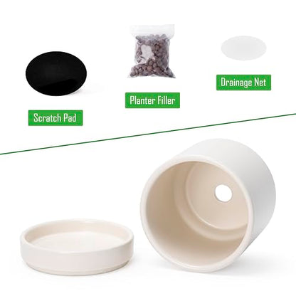 D'vine Dev 2-Pack Ceramic Pots with Saucers, Oatmeal, 4.7 in, 94-V-B-8 | Modern Cylinder Design, Glazed Ceramic, Drainage Hole & Saucer Included, High Temperature Fired, Elegant Home Accent - color: Oatmeal, size: 4.7 Inch