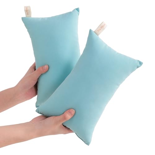 NTBAY Tiny Pillows, Down Alternative 7"x11" Microfiber Mini Pillow for Travel, Pets, Soft Machine Washable Small Pillows for Neck, Wrist, Lumbar and Knee, Aqua - color: Aqua, size: 11"x7"