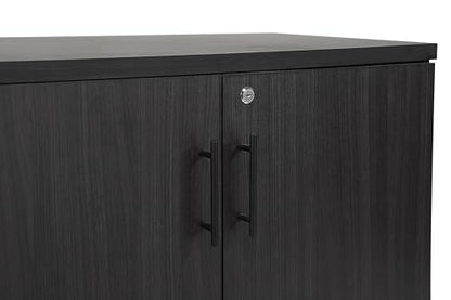 MMT Office Storage Cabinet, Expresso, 2 Door. Adjustable Shelf - color: Expresso
