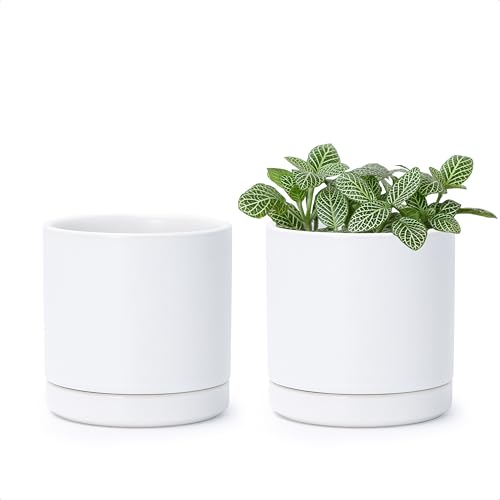 D'vine Dev 2-Pack Ceramic Pots with Saucers, White, 3.5 in, 94-V-A-1 | Modern Cylinder Design, Glazed Ceramic, Drainage Hole & Saucer Included, High Temperature Fired, Elegant Home Accent - color: White, size: 3.5 Inch