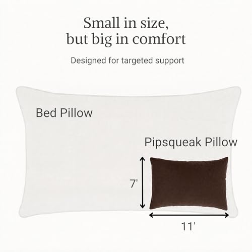 Pipsqueak Microfiber Pillow - Small, Mini, Tiny - 11 x 7 in - Perfect for Travel, Cars, Airplanes, Camping, Dogs, Toddlers, Kids, Lumbar, Knees and Neck - Ages 2 Yrs and Up - color: Brown, size: 1 Pack, style: Non-Personalized