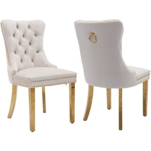 Beige Velvet Dining Chairs Set of 2, Tufted Kitchen & Dining Room Chairs | Two Fabric Dinning Chairs, Velvet Upholstered, Wing Back, Metal Pull Ring, Gold Legs, Wood Frame, Mid Century Modern - color: A-4 Beige Velvet, Gold Legs, size: 2