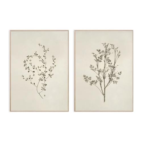 Set of 2 Botanical Illustration Art Prints Floral Lines Art Print 16x12 Inch Unframed View Wall Art Poster for Living Room Bedroom and Office With Vintage Nature Style and Outdoor Vista Details - color: ViewArt-9 UnFramed, size: 16"L x 12"W