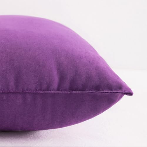 NTBAY Toddler Pillows, Down Alternative 13"x18" Pillows, Machine Washable - Soft and Breathable Travel Small Pillows for Sleeping, Ideal for Daycare, Crib, Cot, Purple | Soft Microfiber Toddler Pillows with Down-Alternative Fill, 2 Pack 13 x 18 Inch Pillo