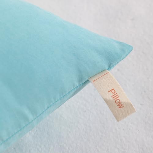 NTBAY Toddler Pillows, Set of 2, 13"x18", Aqua | Soft Microfiber Toddler Pillows with Down-Alternative Fill, 2 Pack 13 x 18 Inch Pillows for Beds, Daycare, and Travel - color: Aqua, size: 13"x18"