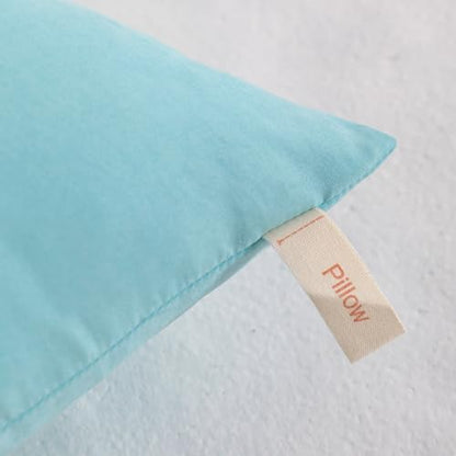 NTBAY Toddler Pillows, Set of 2, 13"x18", Aqua | Soft Microfiber Toddler Pillows with Down-Alternative Fill, 2 Pack 13 x 18 Inch Pillows for Beds, Daycare, and Travel - color: Aqua, size: 13"x18"