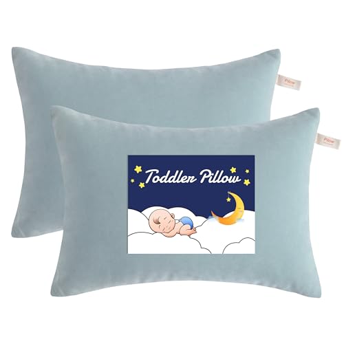 NTBAY Toddler Pillows, Set of 2, 13"x18", Sea Green | Soft Microfiber Toddler Pillows with Down-Alternative Fill, 2 Pack 13 x 18 Inch Pillows for Beds, Daycare, and Travel - color: Sea Green, size: 13"x18"