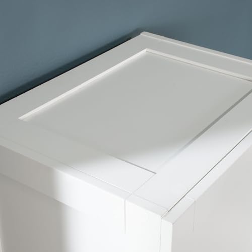 Sauder Miscellaneous Tall Storage Cabinet, Kitchen Pantry, Single Door with Adjustable Shelves, White Finish - color: White