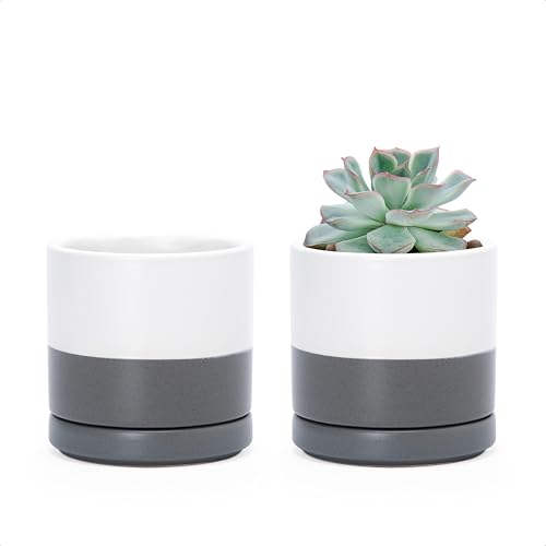 D'vine Dev Set of 2 Plants Pots, 3.5 Inch Ceramic Planter Pot for Plants with Drainage Hole and Saucer, White/Speckled Grey, 94-V-A-6 - color: White/Speckled Grey, size: 3.5 Inch