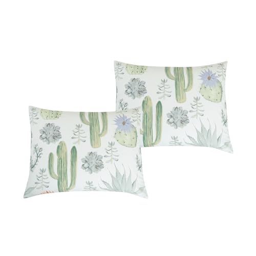Chezmoi Collection Cereus 2-Piece Southwestern Serene Desert Comforter Set - Green Blue Cactus Succulent Plant Printed Washed Microfiber Bedding, Twin - color: Green Cactus Succulent, size: Twin