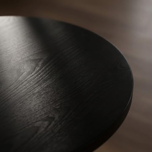 Relso Charon End Table - Round Black Mango Wood Accent Table for Bedroom or Living Room | Compact and Versatile Nightstand or Coffee Table | Modern Silhouette with Simple Assembly, Sturdy Design - color: Charon Black