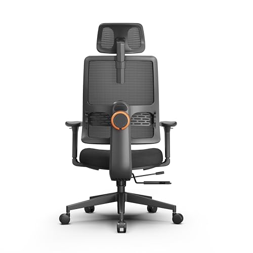 Ergonomic Home Office Chair, High Back Desk Chair with Unique Adaptive Lumbar Support, Adjustable Headrest, Seat Depth Adjustment, 96°-126° Tilt Function, Adjustable Armrest Recliner - color: Black