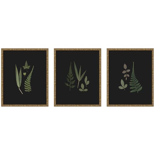 Kate and Laurel Botanical Leaf Study 3 Piece Framed Wall Art Print Set by Stephanie Klatt, Belvedere Bronze Modern Contemporary, Nature Art for Wall Decor - color: Belvedere Bronze