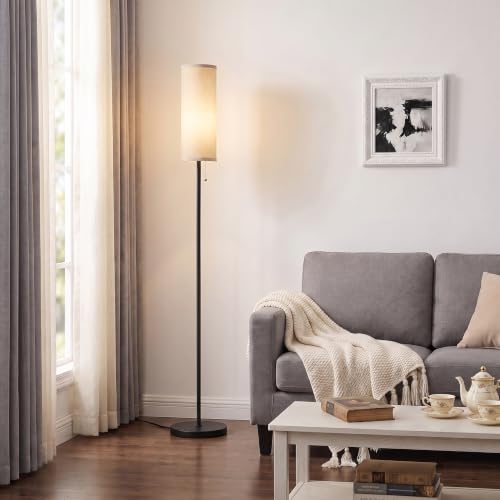 64" Floor Lamp with Bulb & Lampshade & Chain Switch, Grey & Black | 3 Color Temperature,9W LED bulb,Minimalist Floor Lamp,Tall Pole Lamps,Living Room,Bedrooms,for Study,Office - color: grey & black Classic, size: 64.56 inches 1PCS