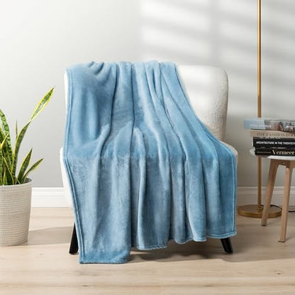 PAVILIA Fleece Blanket Throw Twin Size | Super Soft, Plush, Luxury Flannel Throw | Lightweight Microfiber Blanket for Sofa Couch Bed (Dusty Blue, 60x80 inches) - color: Dusty Blue, size: 60 x 80 Inches - Twin