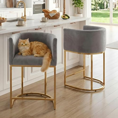 HNY Modern Counter Height Velvet Fabric Upholstered Counter Stools Set of 2, 24 Inch Kitchen Island Stool with Gold Finish Metal Frame, Grey - color: 24inch ,Grey,gold Base