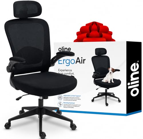 Oline ErgoAir Ergonomic Office Chair – Adjustable Lumbar Support, Flip-Up Armrests, Mesh Computer Desk Chair, Swivel Rolling Executive Gaming Chair for Home & Office (Black) - color: Black