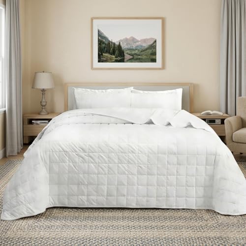 Velvet Quilt California King Size, Luxury Soft Bedding Set, Lightweight Cozy Warm Quilted 3-Piece Velvet Coverlet Bedspread Set with 2 Pillow Shams for All Season White - color: White, size: Cal King(110"x120")