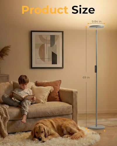 Floor Lamp for Bedroom,69" Tall Standing Lamp Remote & Foot Switch with 1H Timer, 2700-6500K Stepless Dimmable Modern Pole Light for Bedroom, Office, Reading, Sliver - color: Silver
