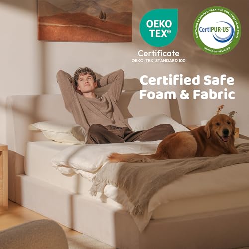 RECCI AirFrame Queen Upholstered Bed Frame with Ergonomic Angled Headboard | Ergonomic Angled Headboard, 360° Soft Foam Surround, Low Profile Cloud Bed Frame, No Box Spring Required, Easy Assembly - color: Beige Chenille, size: Queen